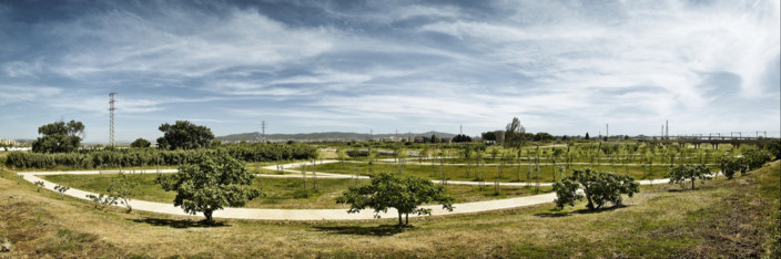 Llobregat河的总体规划-9
