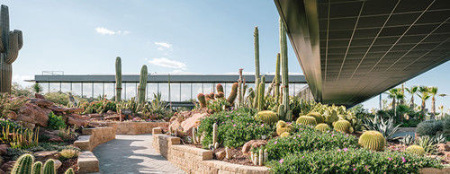 沙漠植物园资料下载-废弃荒地变仙人掌花园，西班牙“沙漠之城”景观