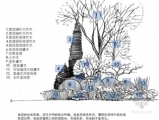 上海绿地长岛花园洋房资料下载-某地产景观种植配植典型方式