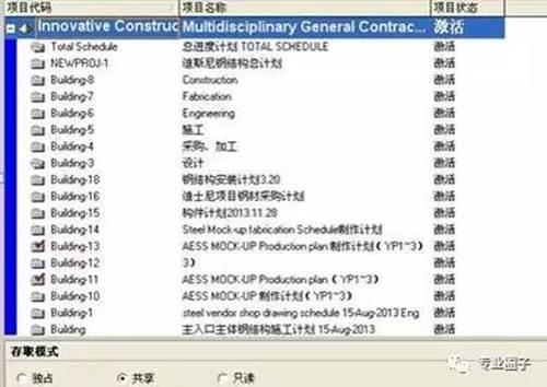 上海迪士尼BIM应用总结及P6软件应用经验交流_9