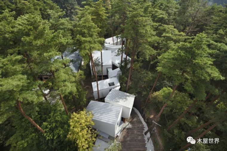 日本蝴蝶屋顶驹形住宅资料下载-树林里的小旅馆，日本大仙住宅