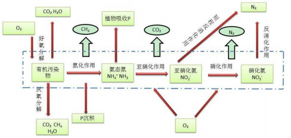 河道综合整治工程方案pdf版（共42页）_4