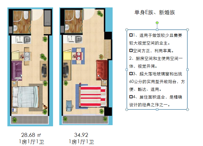 一线城市经典户型点评合集（PPT）-单身E族、新婚族