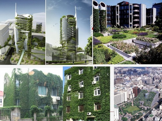 建筑与环境ppt资料下载-绿色建筑的环境绿化培训讲义PPT