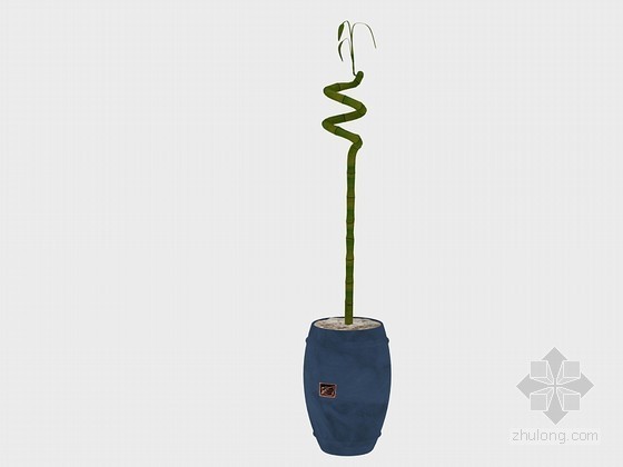 竹子植物SU模型资料下载-漂亮竹子3D模型下载