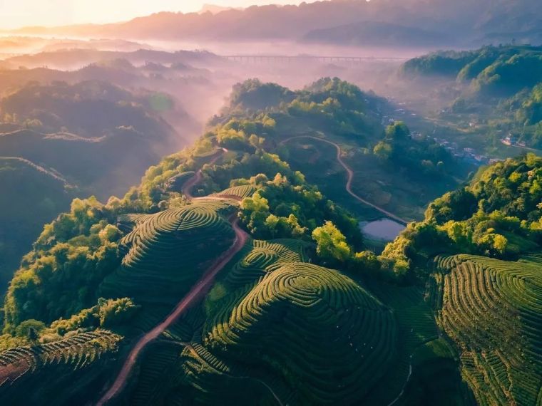 若沙漠中的堡垒资料下载-花开花落又一春