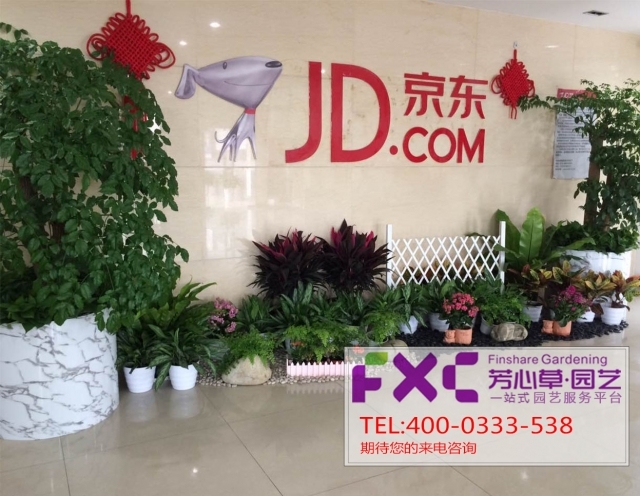 政府办公室楼资料下载-重庆办公室绿植租赁公司哪家服务比较到位