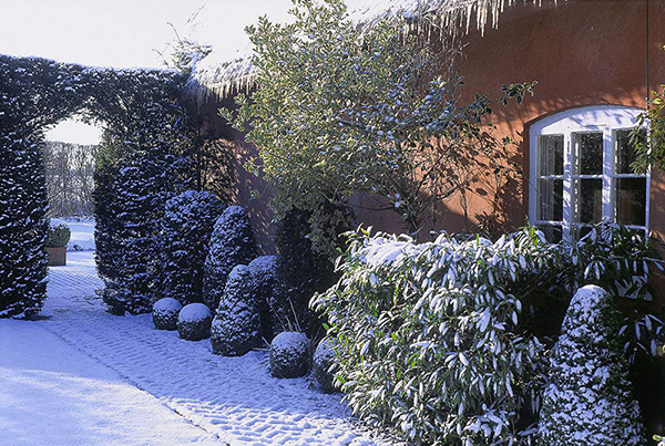 [分享]冬季庭院——演绎另一番美景