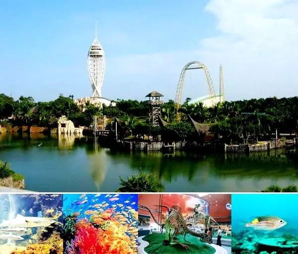 [分享]中国第一个"热带海洋"主题大型公园---海南热带海洋世界