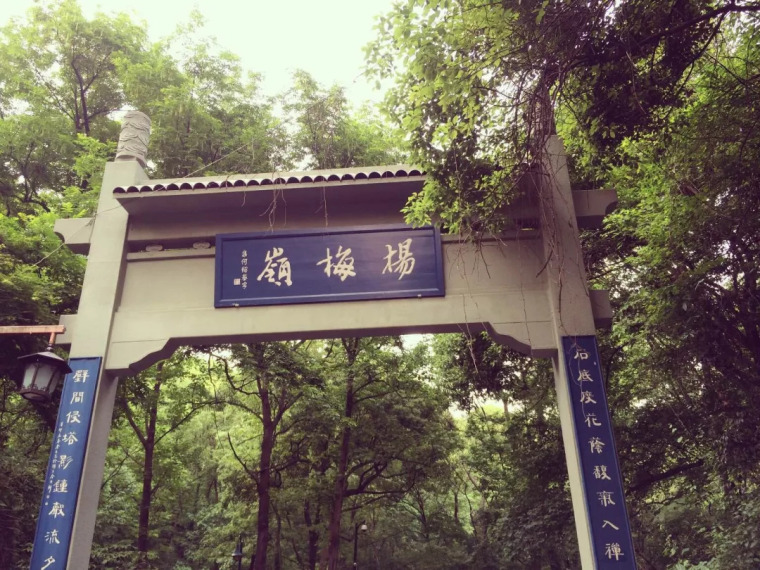 10条登山好路线，绝不辜负杭州秋天之美_30