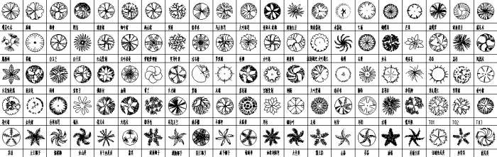 常用园林植物图例（CAD平面图+PSD立面图）-点击查看大图