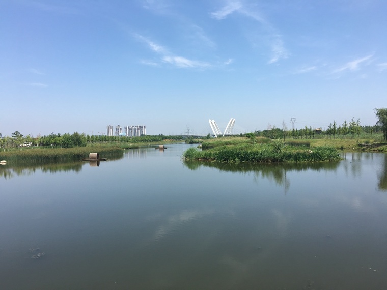 滨水景观设计植物搭配资料下载-西咸城市生活的滨水绿色脉络｜沣河滨河公园