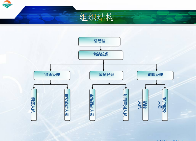 房地产全程营销学习内容（共45页）-组织结构