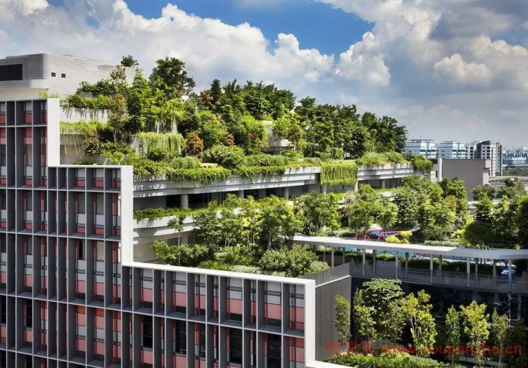 新加坡社区规划案例资料下载-新加坡最值得一看的20个经典建筑与景观
