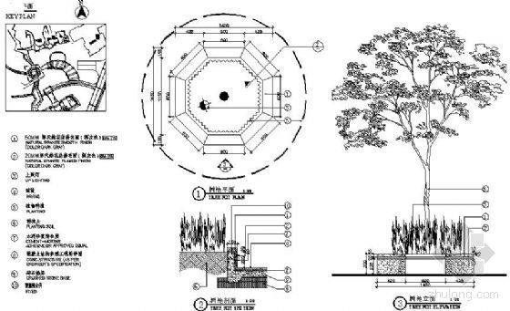 花岗岩铺地收边资料下载-八边花岗岩树池详图2