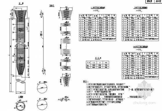 水池混凝土柱墩节点资料下载-钢筋混凝土圆形双柱墩桩基钢筋布置节点详图设计