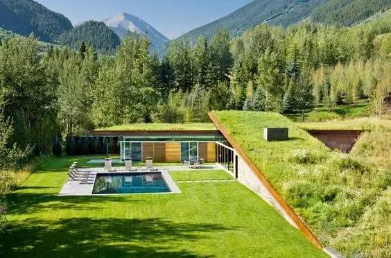 你以为屋顶绿化写上“种植屋面”就完了？-640 (10).jpg