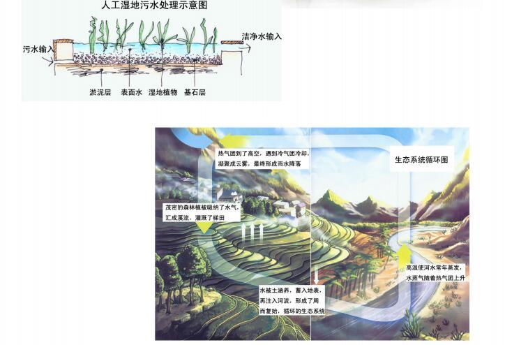 [重庆]重庆市绿阳生态农业观光示范园总体规划（PDF+75页）-水处理