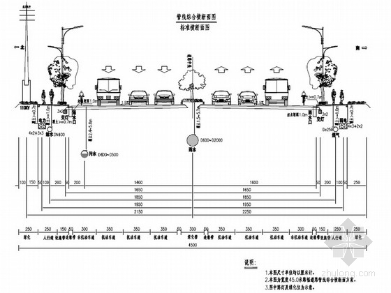 管线综合道路断面资料下载-城市主干道排水及管线综合工程设计套图（70页）