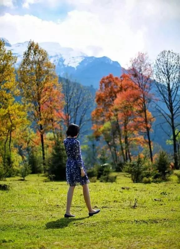 88年的他用10年青春把荒山变成最美星空露营地_22