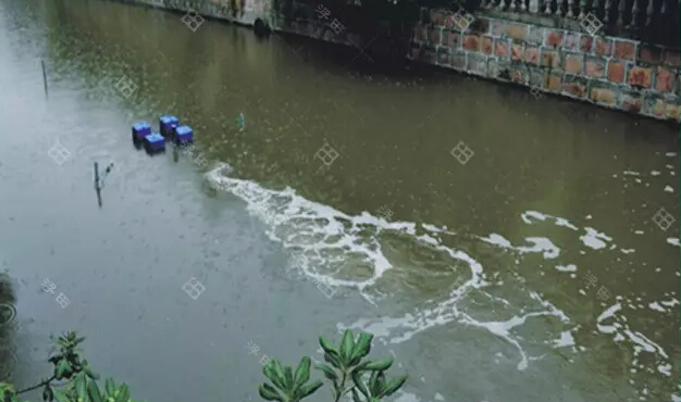 国外生态河道景观资料下载-总结河道治理误区，道明今后治理方向