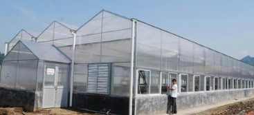 大棚建筑通风设计资料下载-温室大棚建造教大家温室黄瓜的种植