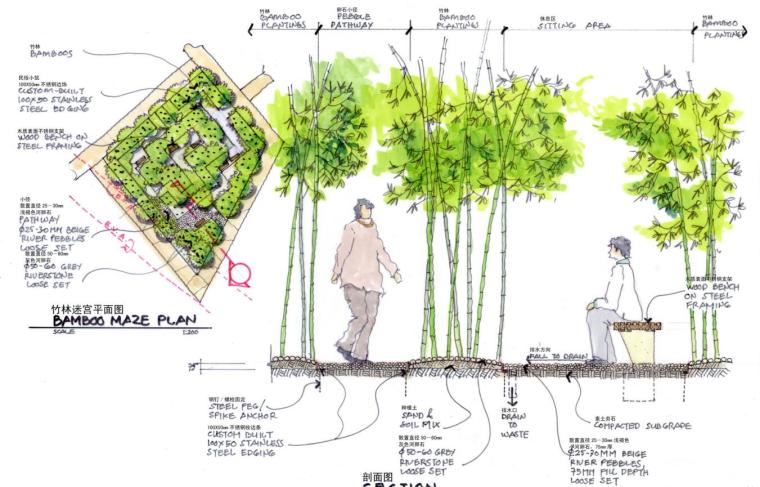 [江苏]滨河景花园全套景观手绘扩初文本-竹林迷宫剖面图
