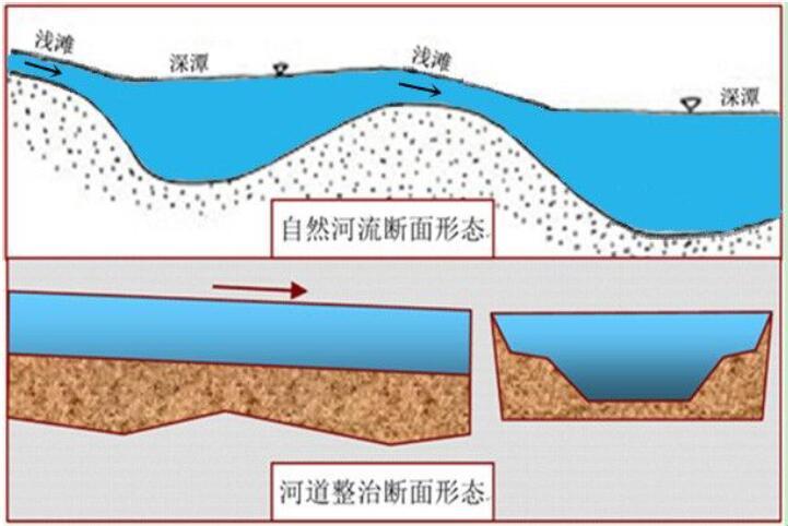 湖泊流域入湖河流河道生态修复技术指南（PDF格式，110页）-河道纵横断面示意图