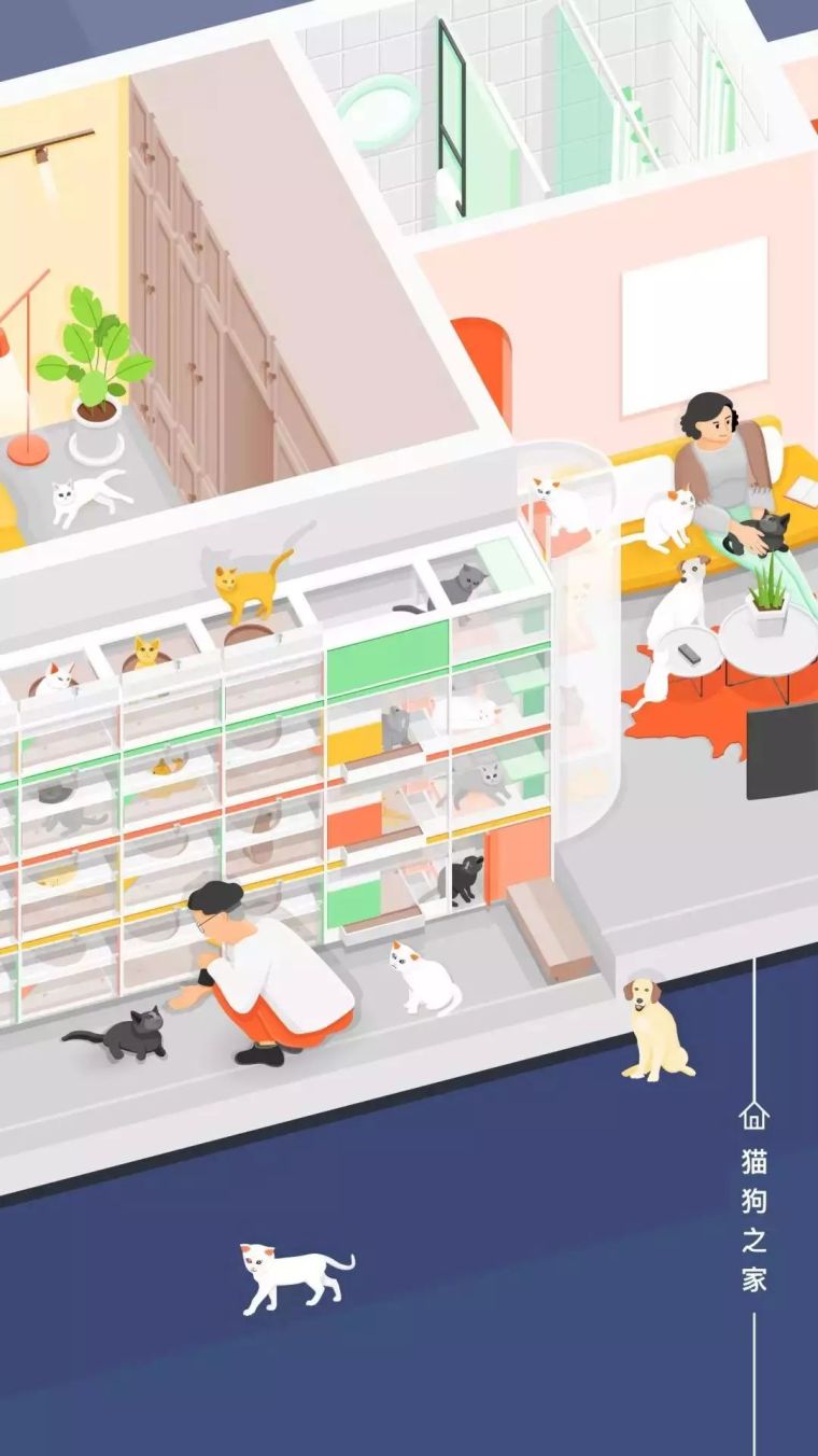 马赛公寓资料下载-猫狗之家——阳光“别墅”，2个人、2只狗、40只猫优雅混居！