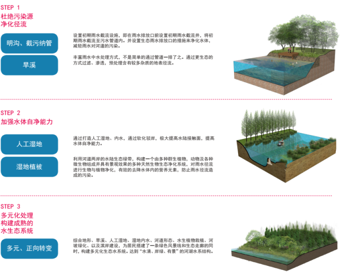 [上海]“海绵城市”郊野环湖风光带滩涂湿地公园景观设计方案-水体净化设计