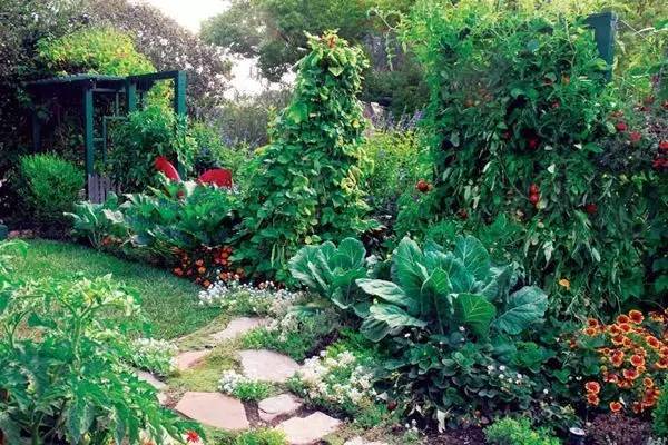 御桥花园复式装修资料下载-把你家菜园变成娘娘的御花园——“可食地景”