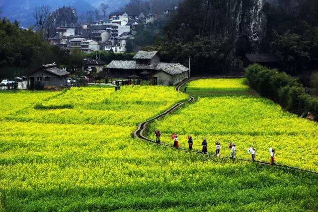 干货分享：美丽乡村如何打造一个好的乡村旅游空间_7