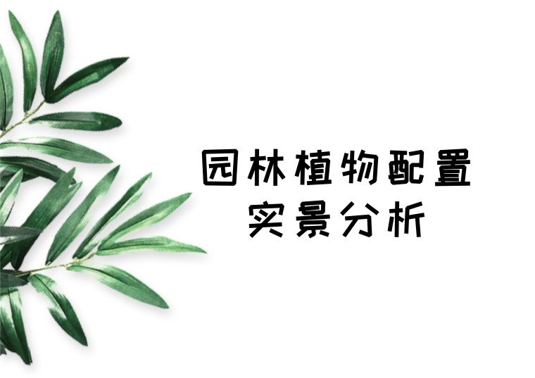 实景分析资料下载-园林植物配置实景分析