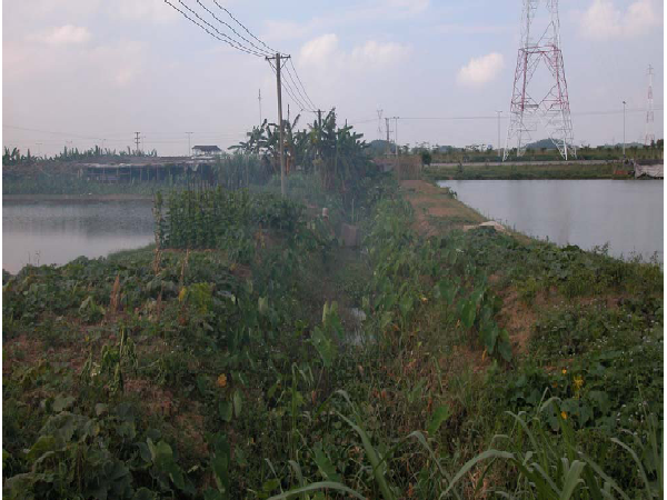 土地技术复核投标文件资料下载-市政道路工程设计技术文件