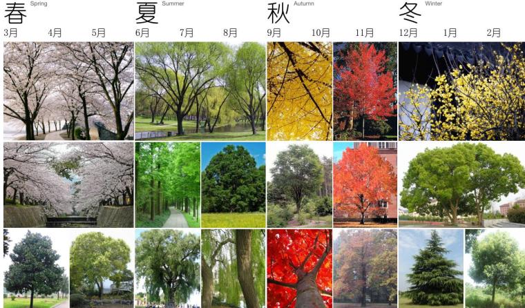 [山东]济南国际花都市政绿化带景观概念设计文本（PDF+38页）-四季种植
