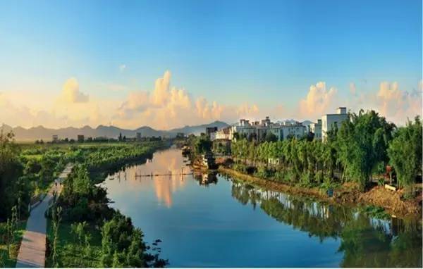 植物浮床CAD资料下载-河道治理 | 河道水体水质改善的六大建议方案