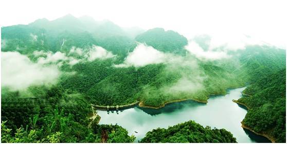 中国最美的20座呼吸小城，洗肺天堂有你的家乡吗？_106