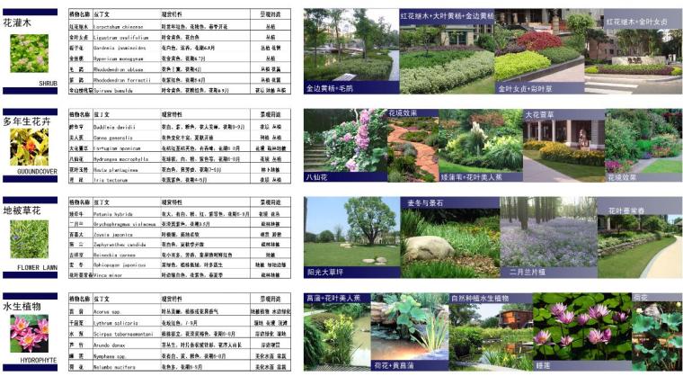 [安徽]淮南现代简约风高层住宅+花园洋房景观设计方案-植物种植设计