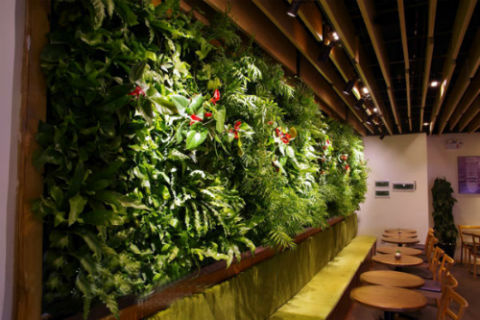 欧洲植物资料下载-绿色仿真植物墙制作材料资源环保吗？