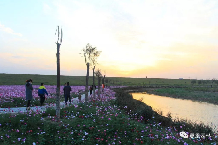 杨凌渭河湿地生态公园资料下载-聚焦！意景邀请您来看宜人风景~