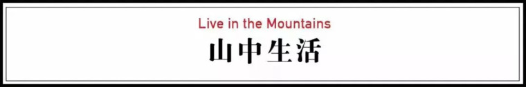 教授买下12000㎡山谷，一个人住..._23