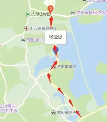 “秋叶不扫”的杭州15条景观道路_17