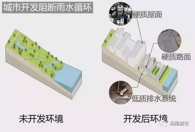 海绵城市建设工程案例详解——市政排水工程的海绵化改造_5