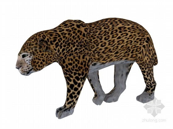 野生动物圆设计资料下载-野生动物3D模型下载