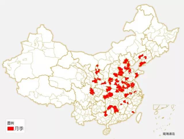微距镜头下的月季花资料下载-204个城市 · 史上最全中国各城市市花