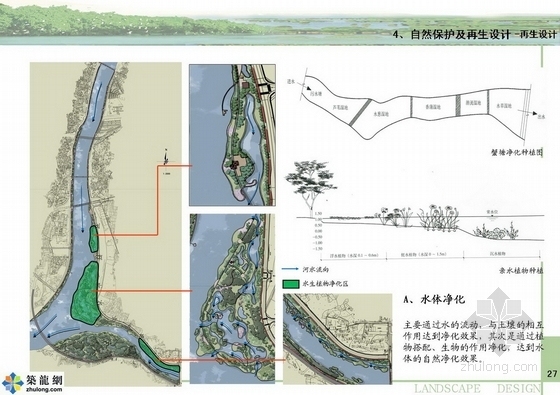 [江西]滨江绿地及河口湿地生物公园规划设计方案-分析图