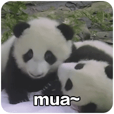 [分享]筑龙vip——路桥资料大合集