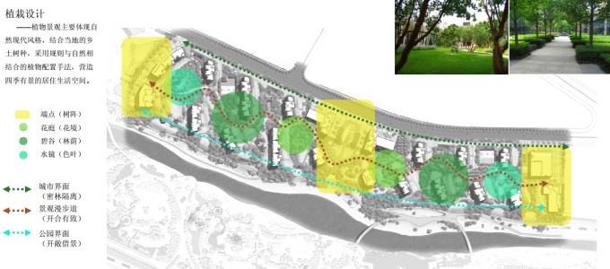 [湖南]滨水自然漫步通廊生态居住区景观设计方案-植物栽植设计详图