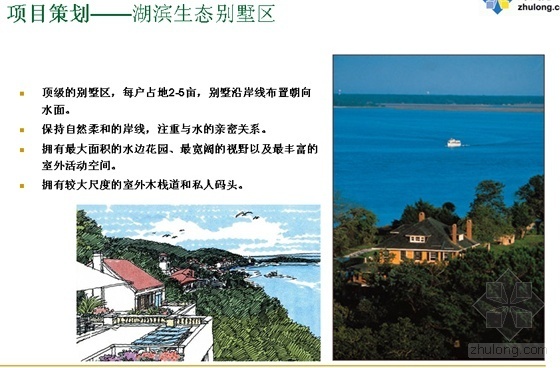[鲁能海南]某湖度假区控制性详细规划-项目策划