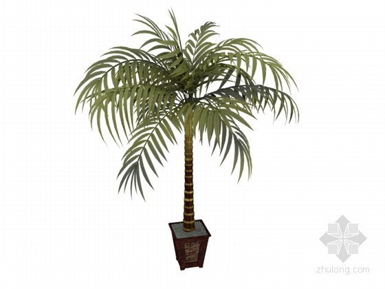 盆栽植物3d模型资料下载-美景盆栽3D模型下载